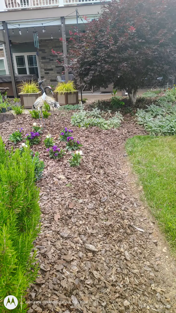 Recent landscaping job by Pastor Landscaping Services in Mocksville, NC