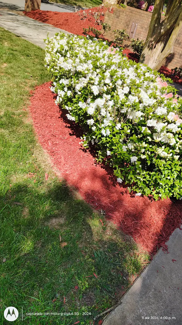 Recent landscaping job by Pastor Landscaping Services in Mocksville, NC