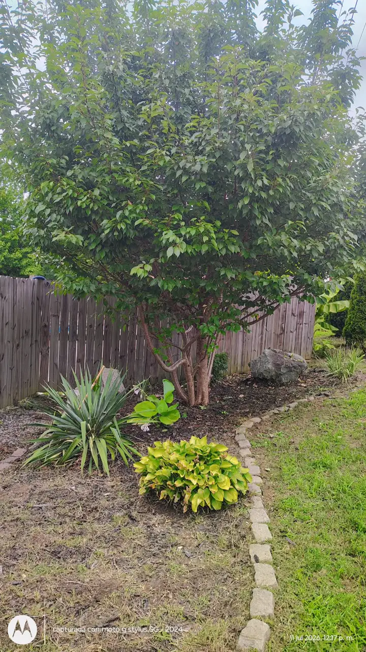 Recent landscaping job by Pastor Landscaping Services in Mocksville, NC