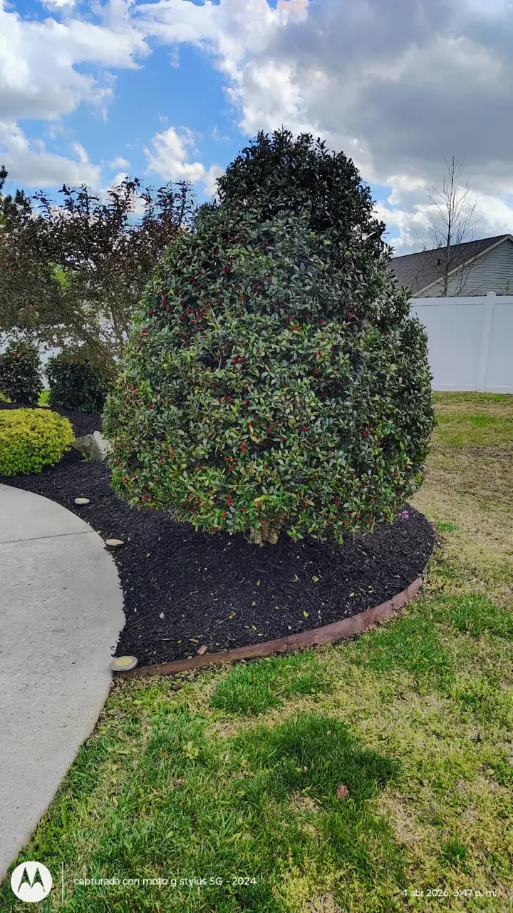Recent landscaping job by Pastor Landscaping Services in Mocksville, NC