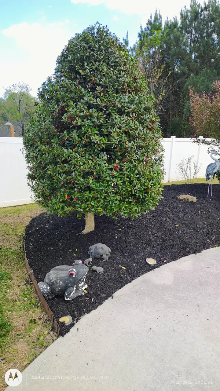 Recent landscaping job by Pastor Landscaping Services in Mocksville, NC