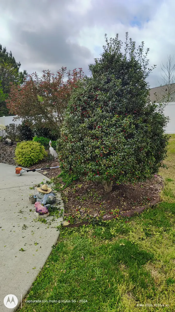 Recent landscaping job by Pastor Landscaping Services in Mocksville, NC