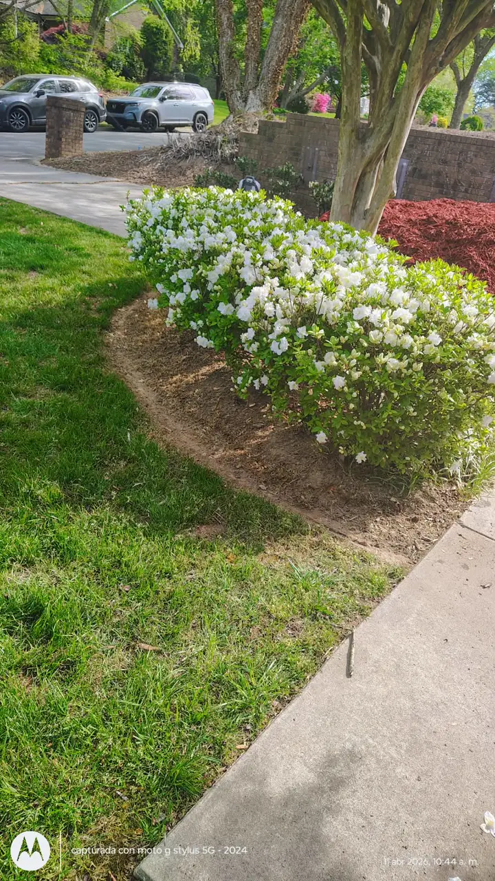 Recent landscaping job by Pastor Landscaping Services in Mocksville, NC
