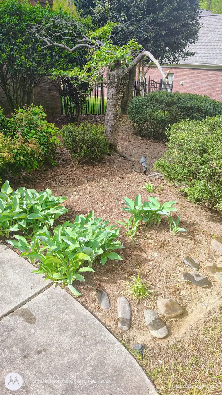 Recent landscaping job by Pastor Landscaping Services in Mocksville, NC