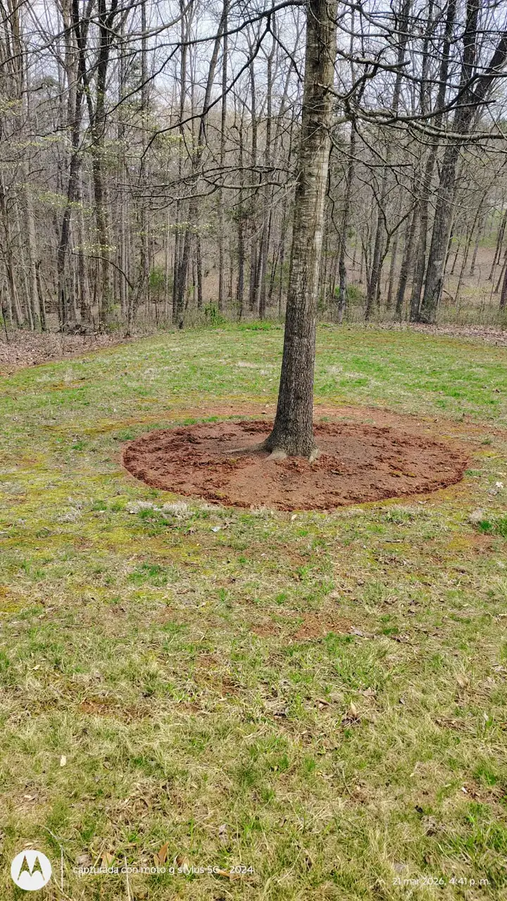 Recent landscaping job by Pastor Landscaping Services in Mocksville, NC