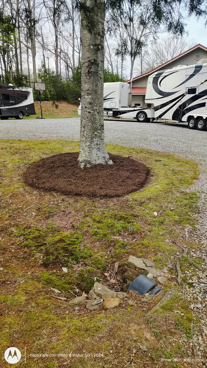 Recent landscaping job by Pastor Landscaping Services in Mocksville, NC