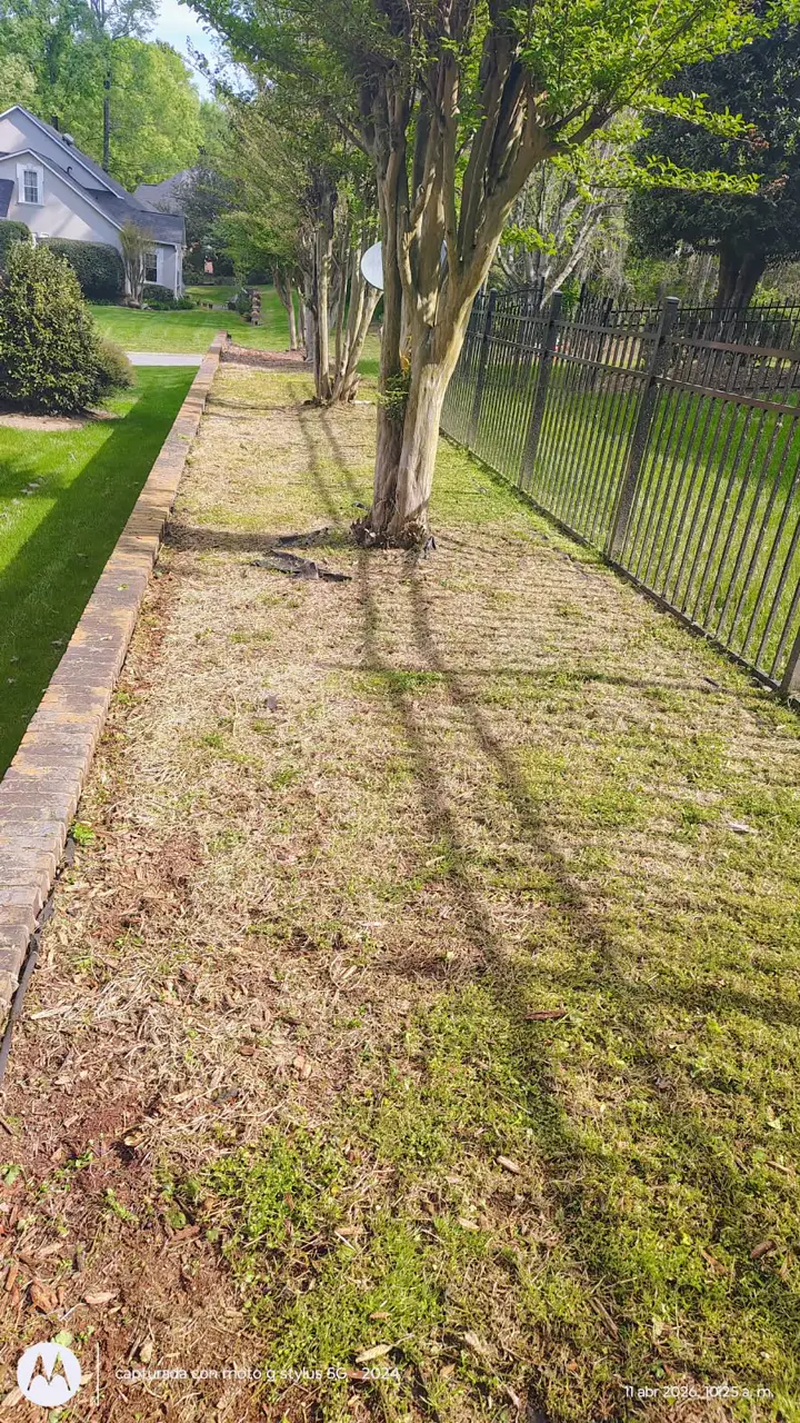 Recent landscaping job by Pastor Landscaping Services in Mocksville, NC