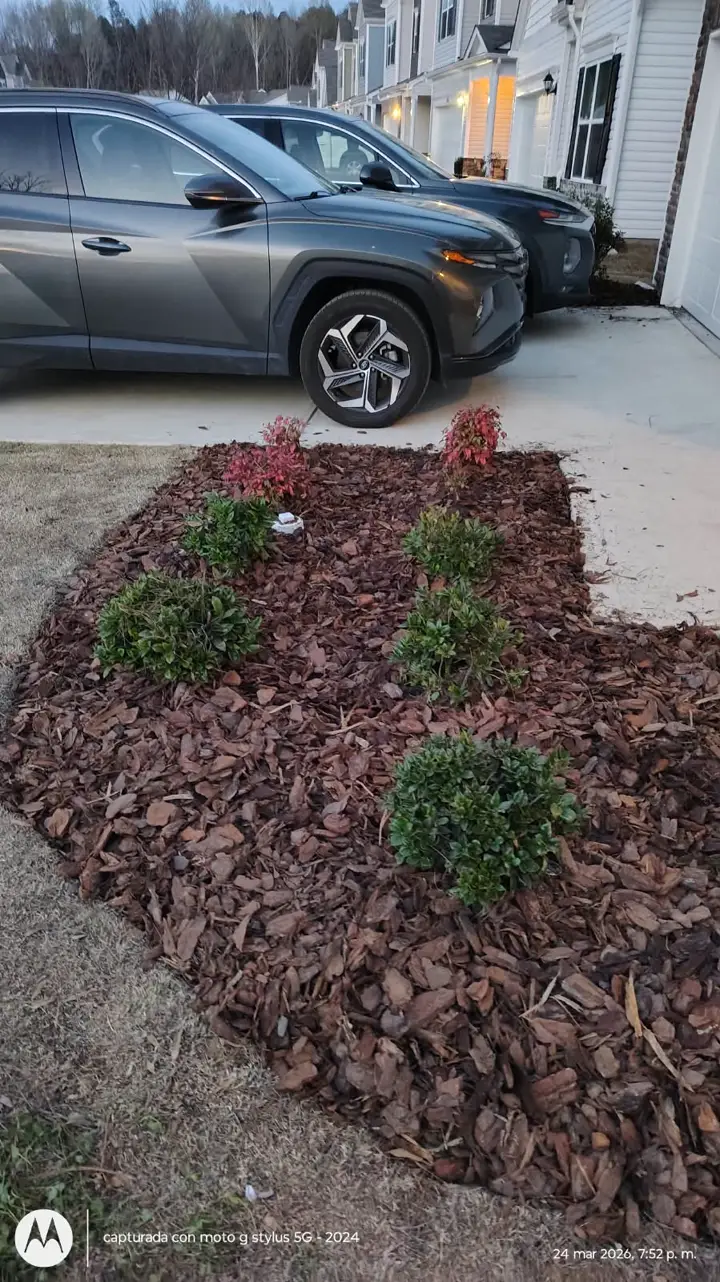 Recent landscaping job by Pastor Landscaping Services in Mocksville, NC