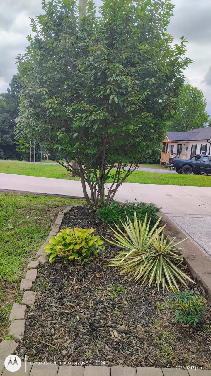 Recent landscaping job by Pastor Landscaping Services in Mocksville, NC