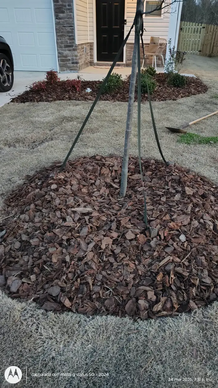 Recent landscaping job by Pastor Landscaping Services in Mocksville, NC