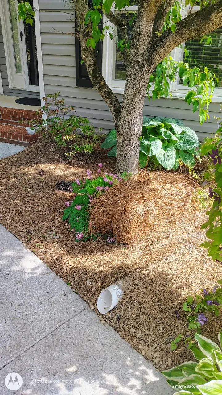 Recent landscaping job by Pastor Landscaping Services in Mocksville, NC