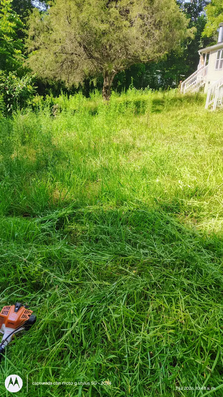 Recent landscaping job by Pastor Landscaping Services in Mocksville, NC