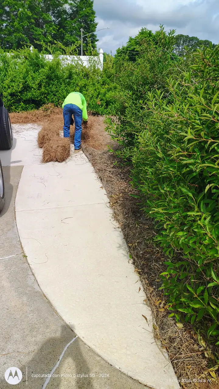 Recent landscaping job by Pastor Landscaping Services in Mocksville, NC