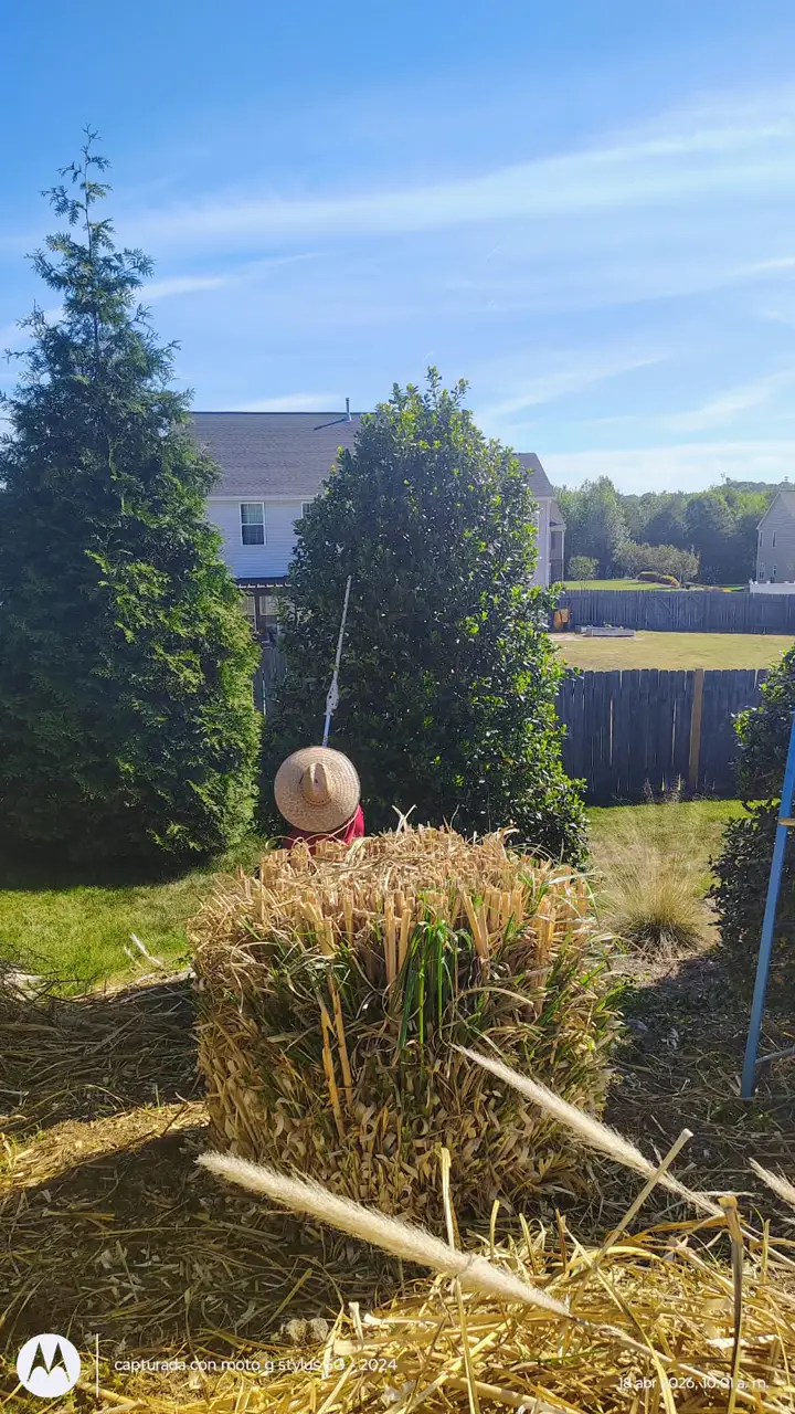 Recent landscaping job by Pastor Landscaping Services in Mocksville, NC