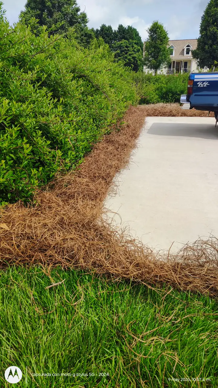 Recent landscaping job by Pastor Landscaping Services in Mocksville, NC