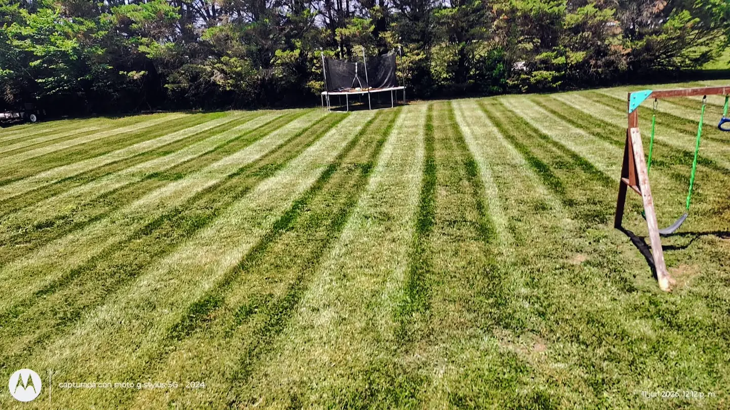 Freshly mowed lawn with clean stripes, mowed by Pastor Landscaping in Davie County, NC