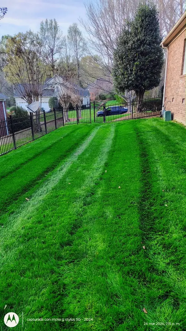 Fenced backyard lawn mowed in straight stripes