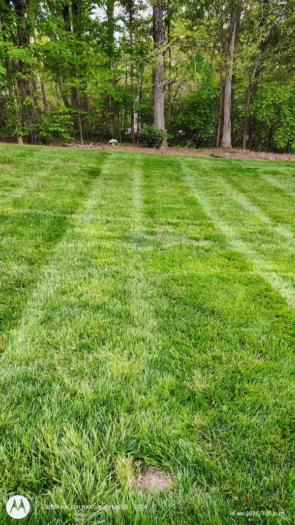 Thick green lawn mowed in stripes next to the woods